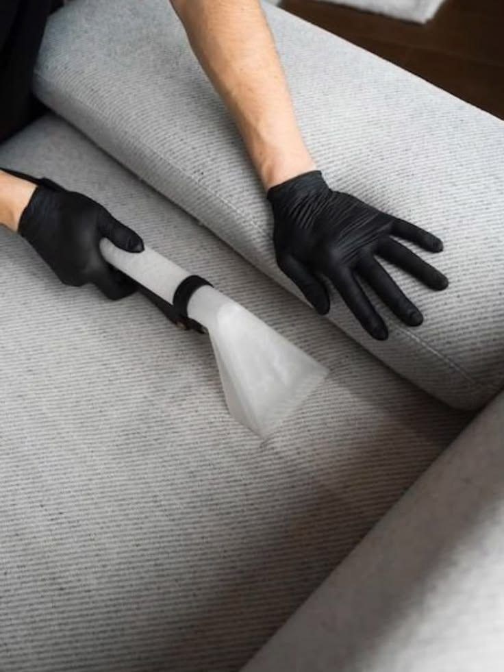 Professional with black gloves using steam cleaner on upholstered carpet surface